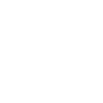 Observatorio feminista igualdade